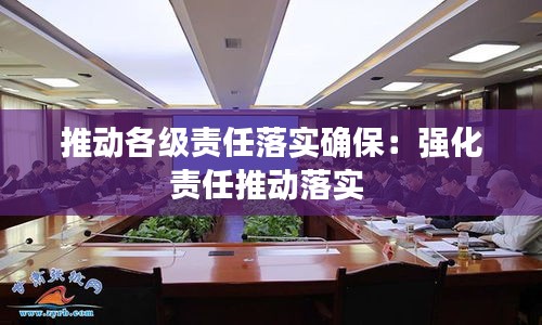 推動(dòng)各級(jí)責(zé)任落實(shí)確保：強(qiáng)化責(zé)任推動(dòng)落實(shí) 