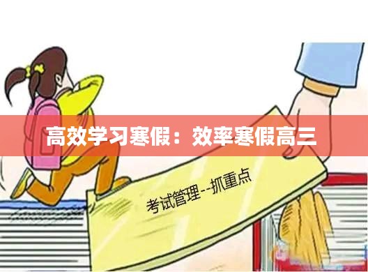 高效學(xué)習(xí)寒假：效率寒假高三 