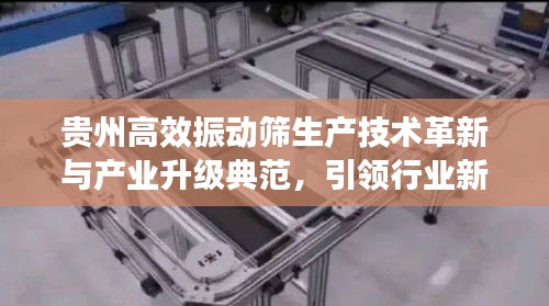 貴州高效振動(dòng)篩生產(chǎn)技術(shù)革新與產(chǎn)業(yè)升級(jí)典范，引領(lǐng)行業(yè)新風(fēng)向！
