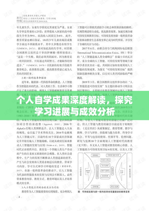 個(gè)人自學(xué)成果深度解讀，探究學(xué)習(xí)進(jìn)展與成效分析