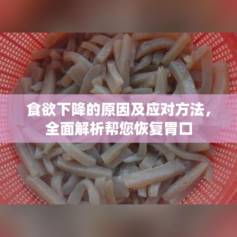 食欲下降的原因及應(yīng)對方法，全面解析幫您恢復(fù)胃口
