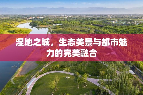 濕地之城，生態(tài)美景與都市魅力的完美融合