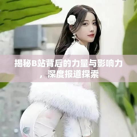 揭秘B站背后的力量與影響力，深度報(bào)道探索