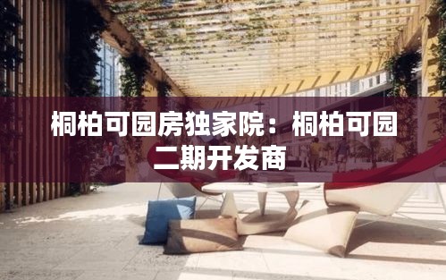 桐柏可園房獨家院：桐柏可園二期開發(fā)商 