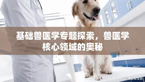 飛黃騰達(dá) 第3頁(yè)