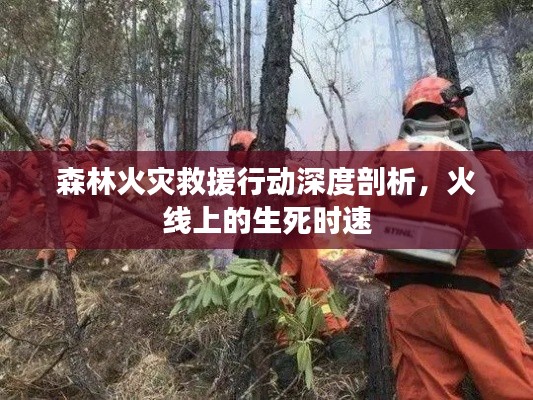 森林火災(zāi)救援行動深度剖析，火線上的生死時速
