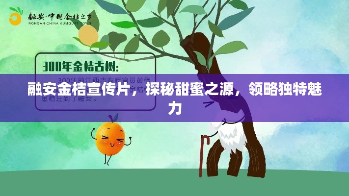 融安金桔宣傳片，探秘甜蜜之源，領(lǐng)略獨特魅力