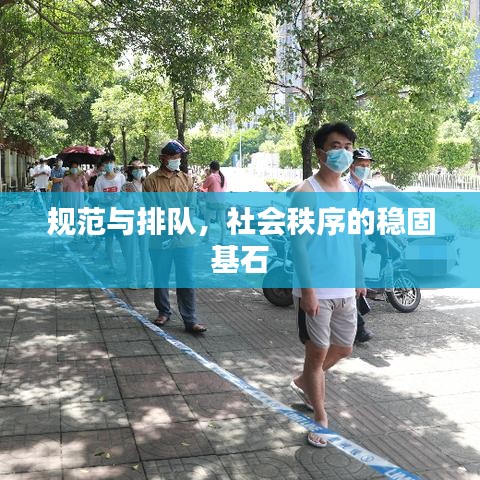 規(guī)范與排隊，社會秩序的穩(wěn)固基石