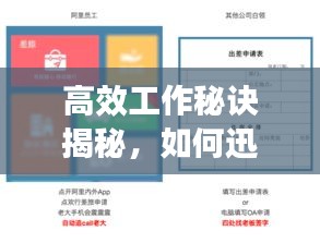 高效工作秘訣揭秘，如何迅速落實(shí)任務(wù)，提升效率？