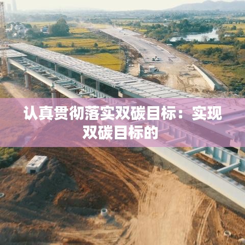 認真貫徹落實雙碳目標：實現(xiàn)雙碳目標的 