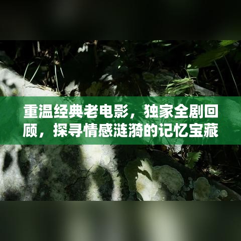 重溫經(jīng)典老電影，獨家全劇回顧，探尋情感漣漪的記憶寶藏