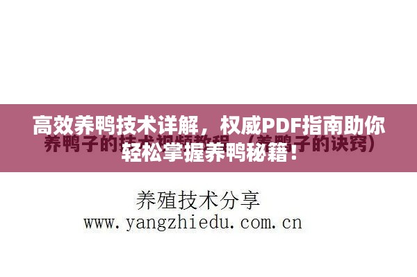 高效養(yǎng)鴨技術詳解，權威PDF指南助你輕松掌握養(yǎng)鴨秘籍！