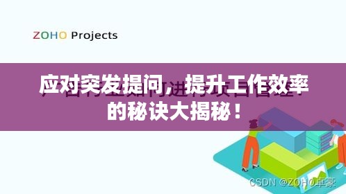 應(yīng)對突發(fā)提問，提升工作效率的秘訣大揭秘！