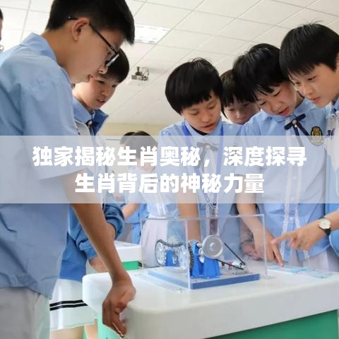 獨(dú)家揭秘生肖奧秘，深度探尋生肖背后的神秘力量
