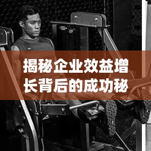 揭秘企業(yè)效益增長背后的成功秘訣，企業(yè)成功之路圖解析