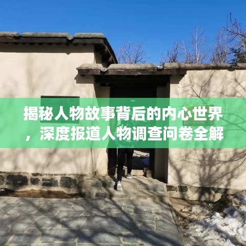 揭秘人物故事背后的內(nèi)心世界，深度報(bào)道人物調(diào)查問卷全解析