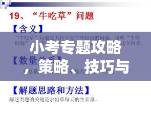 小考專題攻略，策略、技巧與知識要點(diǎn)一網(wǎng)打盡