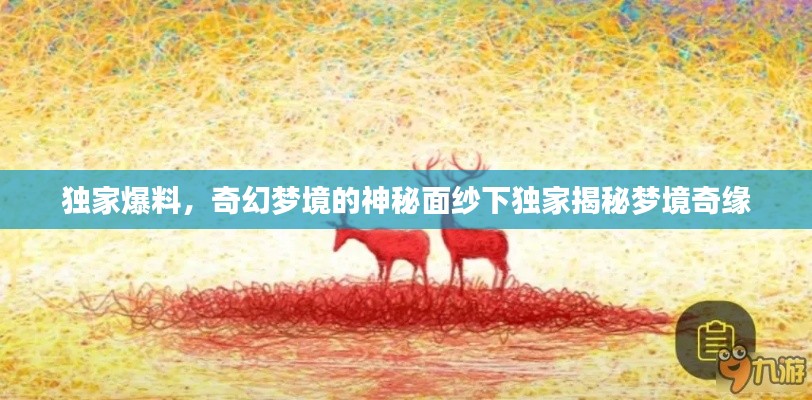 獨(dú)家爆料，奇幻夢(mèng)境的神秘面紗下獨(dú)家揭秘夢(mèng)境奇緣