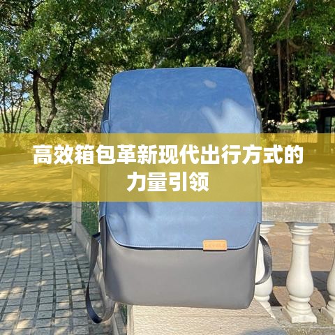 高效箱包革新現(xiàn)代出行方式的力量引領