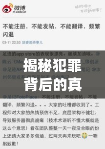 揭秘犯罪背后的真相，抓碼王獨家爆料