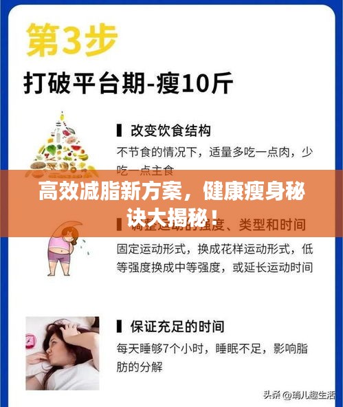 高效減脂新方案，健康瘦身秘訣大揭秘！