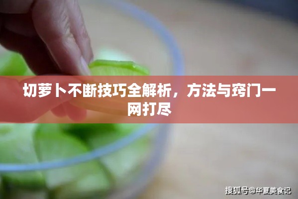 切蘿卜不斷技巧全解析，方法與竅門一網(wǎng)打盡