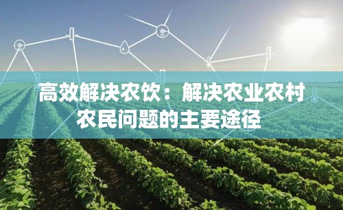 高效解決農(nóng)飲：解決農(nóng)業(yè)農(nóng)村農(nóng)民問(wèn)題的主要途徑 