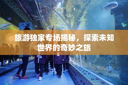 旅游獨(dú)家專場(chǎng)揭秘，探索未知世界的奇妙之旅