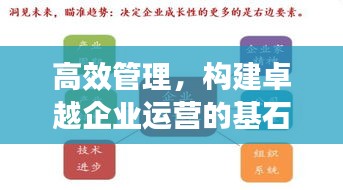 高效管理，構(gòu)建卓越企業(yè)運營的基石之道