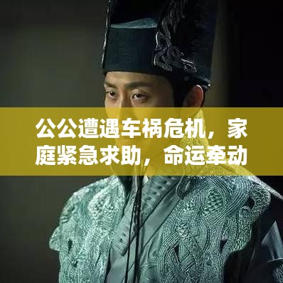 公公遭遇車禍危機(jī)，家庭緊急求助，命運(yùn)牽動(dòng)人心