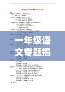 一年級(jí)語(yǔ)文專(zhuān)題揭秘，基礎(chǔ)知識(shí)的探索之旅