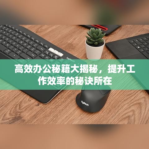 高效辦公秘籍大揭秘，提升工作效率的秘訣所在
