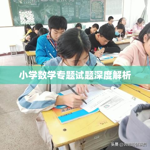 小學數學專題試題深度解析