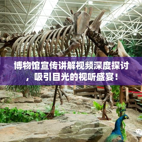 博物館宣傳講解視頻深度探討，吸引目光的視聽盛宴！