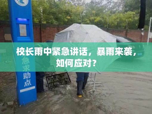 校長(zhǎng)雨中緊急講話，暴雨來(lái)襲，如何應(yīng)對(duì)？
