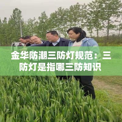 金華防潮三防燈規(guī)范：三防燈是指哪三防知識 