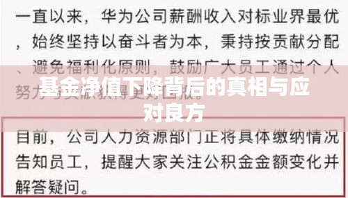 基金凈值下降背后的真相與應(yīng)對(duì)良方