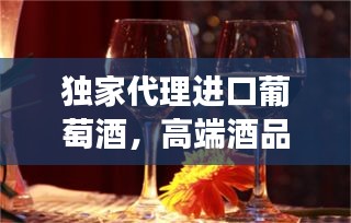 獨(dú)家代理進(jìn)口葡萄酒，高端酒品市場探索之旅