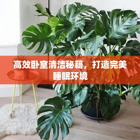 高效臥室清潔秘籍，打造完美睡眠環(huán)境