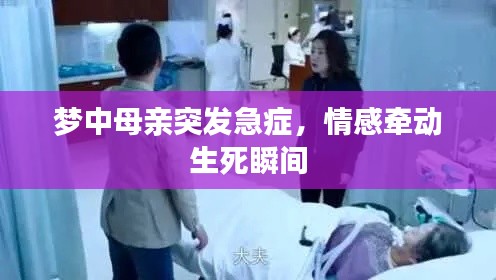 半截鳥木 第3頁