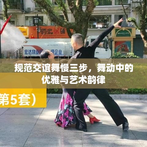 規(guī)范交誼舞慢三步，舞動中的優(yōu)雅與藝術韻律