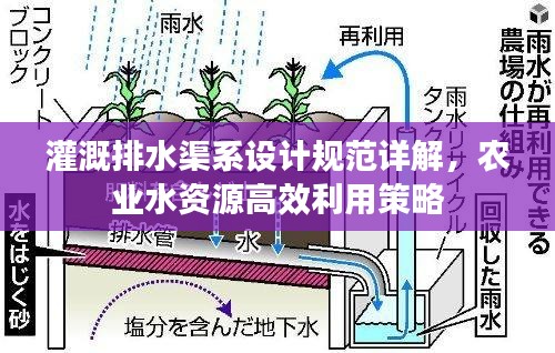 灌溉排水渠系設計規(guī)范詳解，農(nóng)業(yè)水資源高效利用策略