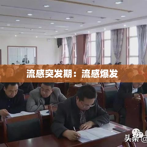 流感突發(fā)期：流感爆發(fā) 
