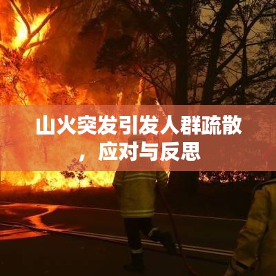 山火突發(fā)引發(fā)人群疏散，應(yīng)對(duì)與反思