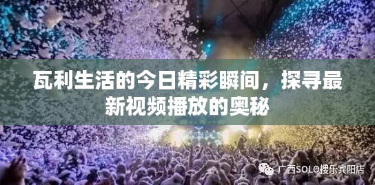 瓦利生活的今日精彩瞬間，探尋最新視頻播放的奧秘