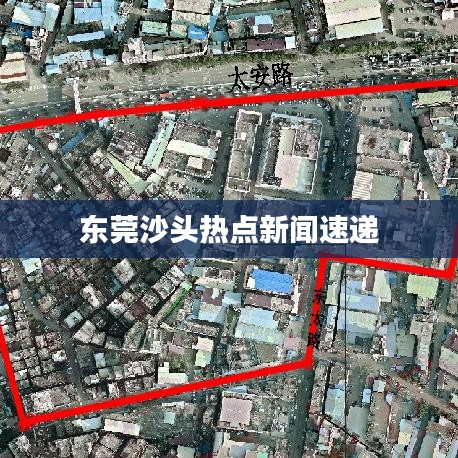 東莞沙頭熱點(diǎn)新聞速遞