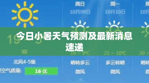 今日小暑天氣預(yù)測(cè)及最新消息速遞