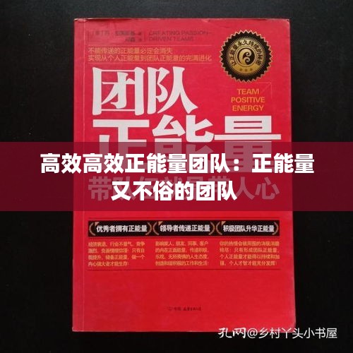高效高效正能量團(tuán)隊(duì)：正能量又不俗的團(tuán)隊(duì) 