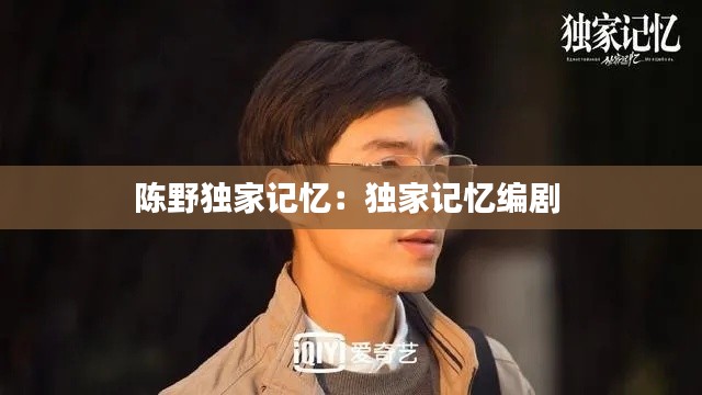 陳野獨(dú)家記憶：獨(dú)家記憶編劇 