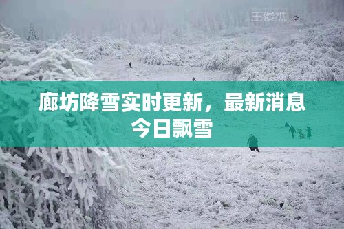 廊坊降雪實時更新，最新消息今日飄雪